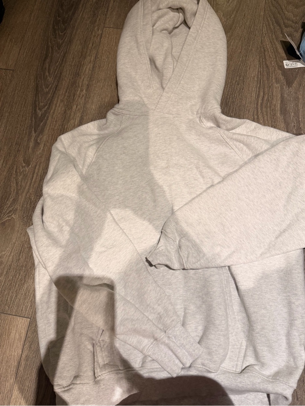 Aritzia Mega Fleece Hoodie